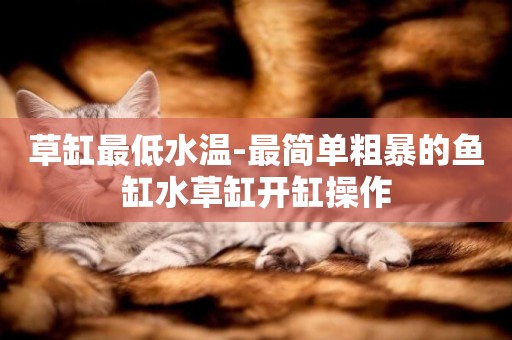 草缸最低水溫-最簡單粗暴的魚缸水草缸開缸操作