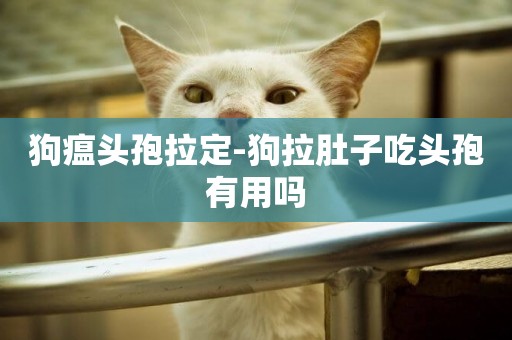 狗瘟頭孢拉定-狗拉肚子吃頭孢有用嗎