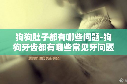 狗狗肚子都有哪些問題-狗狗牙齒都有哪些常見牙問題