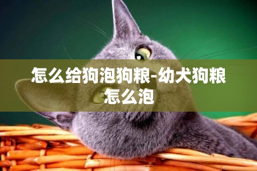 怎么給狗泡狗糧-幼犬狗糧怎么泡