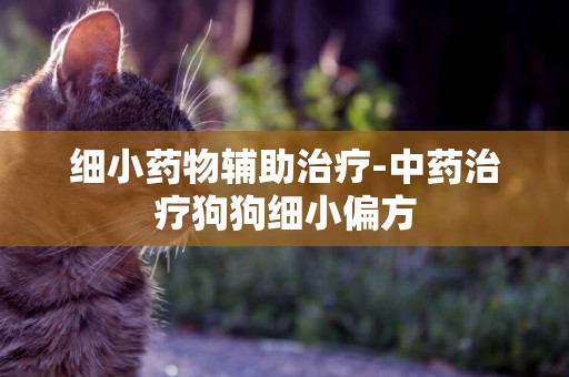 細小藥物輔助治療-中藥治療狗狗細小偏方