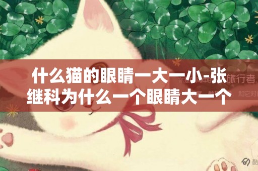 什么貓的眼睛一大一小-張繼科為什么一個眼睛大一個眼睛小