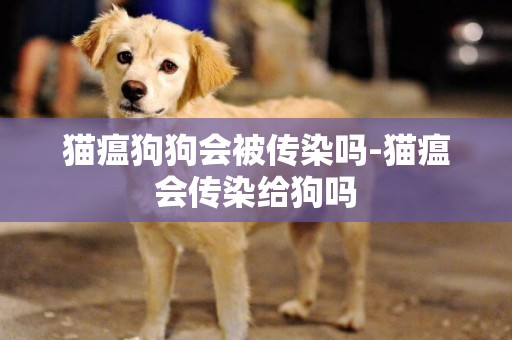 貓瘟狗狗會被傳染嗎-貓瘟會傳染給狗嗎