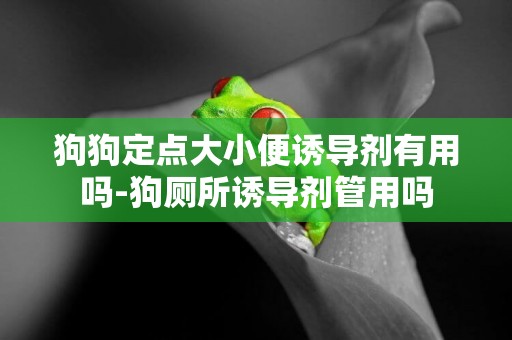 狗狗定點大小便誘導劑有用嗎-狗廁所誘導劑管用嗎