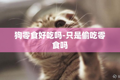 狗零食好吃嗎-只是偷吃零食嗎