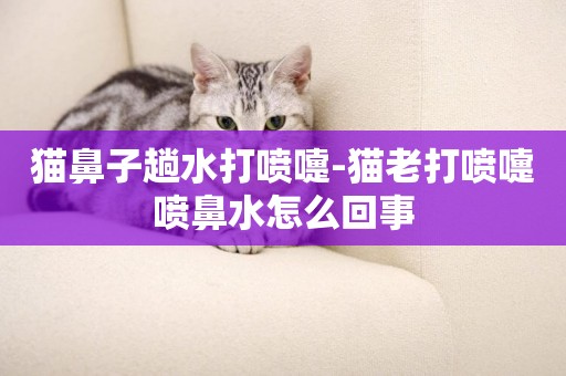 貓鼻子趟水打噴嚏-貓老打噴嚏噴鼻水怎么回事