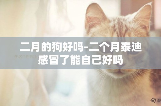 二月的狗好嗎-二個月泰迪感冒了能自己好嗎