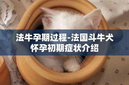 法牛孕期過程-法國斗牛犬懷孕初期癥狀介紹