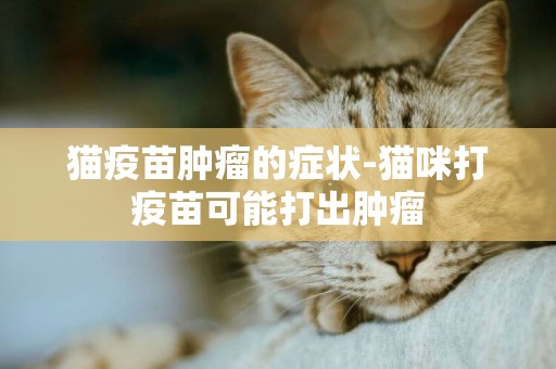貓疫苗腫瘤的癥狀-貓咪打疫苗可能打出腫瘤