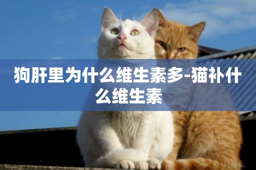 狗肝里為什么維生素多-貓補什么維生素