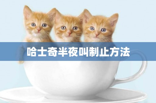 哈士奇半夜叫制止方法