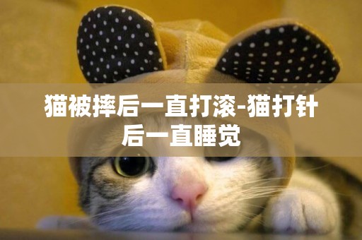 貓被摔后一直打滾-貓打針后一直睡覺