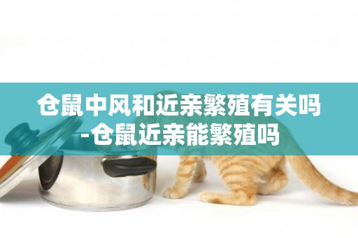 倉鼠中風和近親繁殖有關嗎-倉鼠近親能繁殖嗎