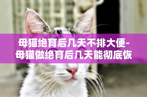 母貓絕育后幾天不排大便-母貓做絕育后幾天能徹底恢復