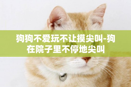 狗狗不愛玩不讓摸尖叫-狗在院子里不停地尖叫