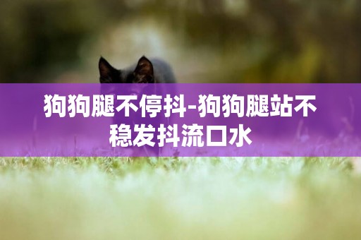 狗狗腿不停抖-狗狗腿站不穩發抖流口水