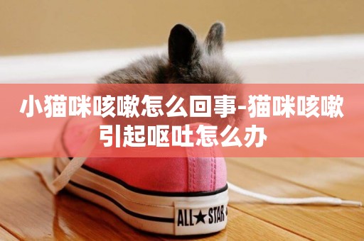 小貓咪咳嗽怎么回事-貓咪咳嗽引起嘔吐怎么辦