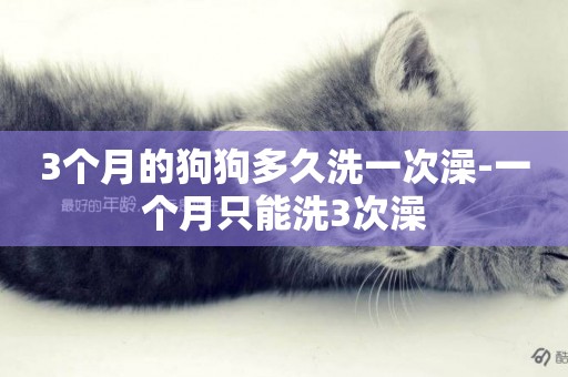 3個月的狗狗多久洗一次澡-一個月只能洗3次澡
