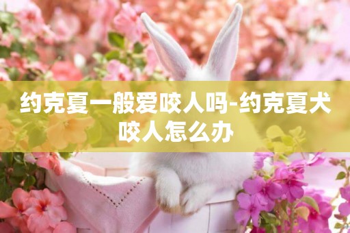 約克夏一般愛咬人嗎-約克夏犬咬人怎么辦