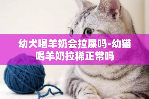 幼犬喝羊奶會拉屎嗎-幼貓喝羊奶拉稀正常嗎