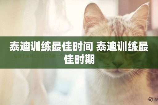 泰迪訓練最佳時間 泰迪訓練最佳時期