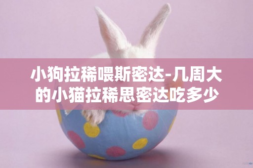 小狗拉稀喂斯密達-幾周大的小貓拉稀思密達吃多少