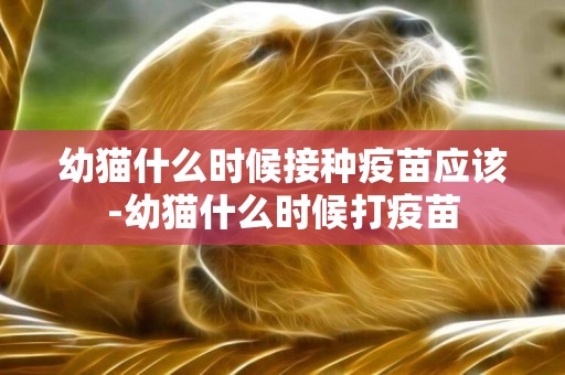 幼貓什么時候接種疫苗應該-幼貓什么時候打疫苗