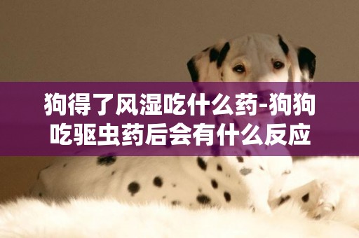 狗得了風濕吃什么藥-狗狗吃驅蟲藥后會有什么反應