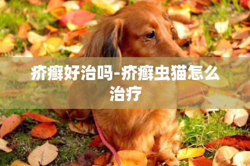 疥癬好治嗎-疥癬蟲貓怎么治療