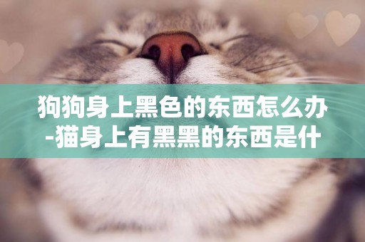狗狗身上黑色的東西怎么辦-貓身上有黑黑的東西是什么東西怎么辦