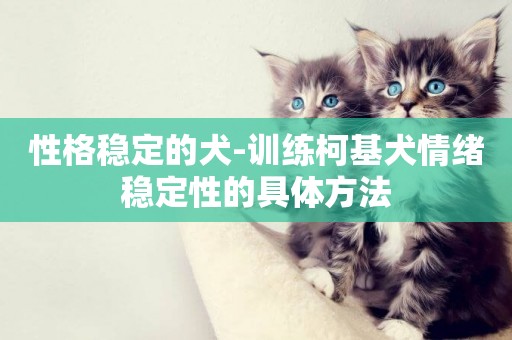 性格穩定的犬-訓練柯基犬情緒穩定性的具體方法