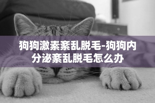 狗狗激素紊亂脫毛-狗狗內分泌紊亂脫毛怎么辦