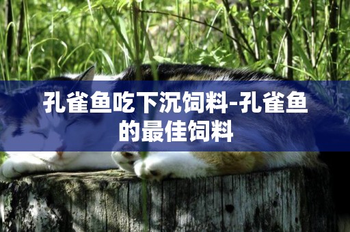 孔雀魚吃下沉飼料-孔雀魚的最佳飼料