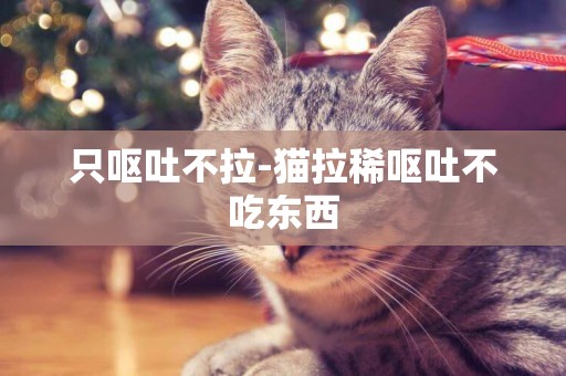 只嘔吐不拉-貓拉稀嘔吐不吃東西