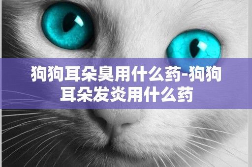 狗狗耳朵臭用什么藥-狗狗耳朵發炎用什么藥