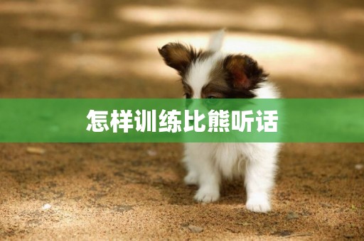 怎樣訓練比熊聽話