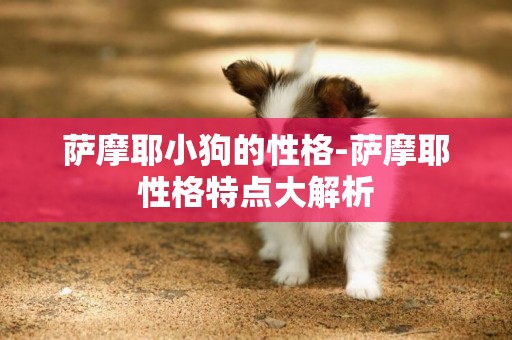 薩摩耶小狗的性格-薩摩耶性格特點大解析