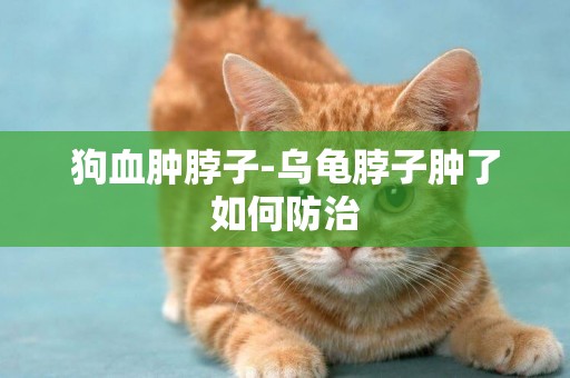 狗血腫脖子-烏龜脖子腫了如何防治
