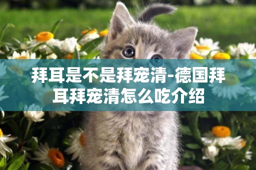 拜耳是不是拜寵清-德國拜耳拜寵清怎么吃介紹