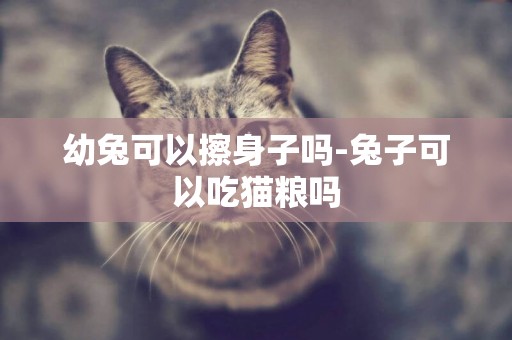 幼兔可以擦身子嗎-兔子可以吃貓糧嗎