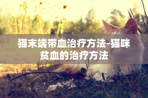貓末端帶血治療方法-貓咪貧血的治療方法