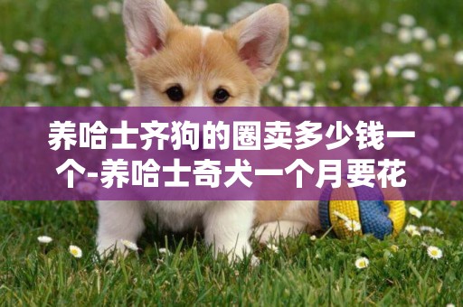 養哈士齊狗的圈賣多少錢一個-養哈士奇犬一個月要花多少錢