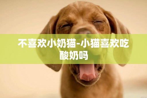 不喜歡小奶貓-小貓喜歡吃酸奶嗎