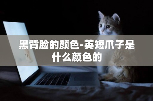 黑背臉的顏色-英短爪子是什么顏色的