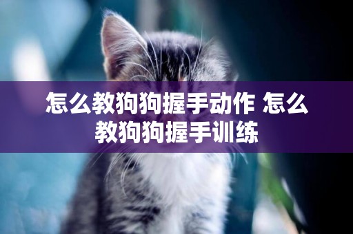 怎么教狗狗握手動作 怎么教狗狗握手訓練