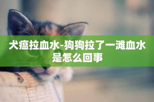 犬瘟拉血水-狗狗拉了一灘血水是怎么回事