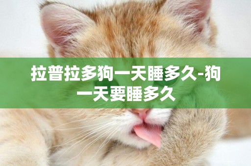 拉普拉多狗一天睡多久-狗一天要睡多久