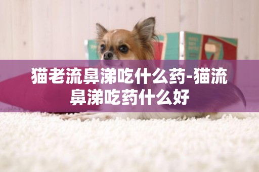 貓老流鼻涕吃什么藥-貓流鼻涕吃藥什么好