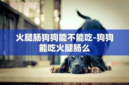 火腿腸狗狗能不能吃-狗狗能吃火腿腸么
