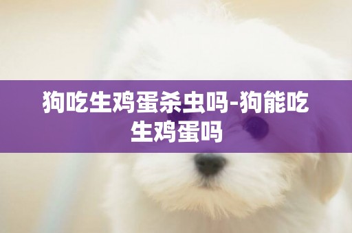 狗吃生雞蛋殺蟲嗎-狗能吃生雞蛋嗎